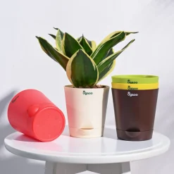 Krish Self Watering Planter - Set of 5