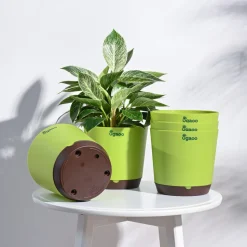 Krish Self Watering Planter - Set of 5