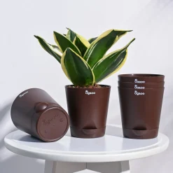 Krish Self Watering Planter - Set of 5