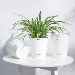 Krish Self Watering Planter - Set of 5