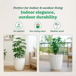 Kyiv Planter - Set of 3