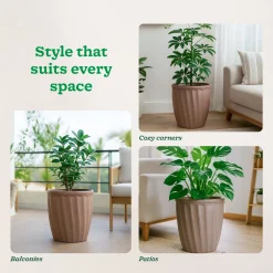 Kyiv Planter - Set of 3