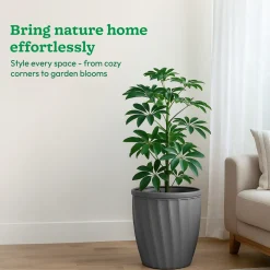 Kyiv Planter - Set of 3