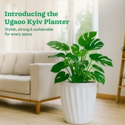 Kyiv Planter - Set of 3