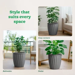 Kyiv Planter - Set of 3