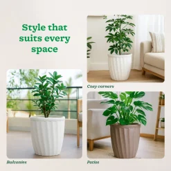 Kyiv Planter - Set of 3