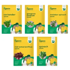 Leafy Vegetable Seeds Bundle of 5 Packet