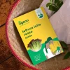 Lettuce Lollo Rosso Seeds