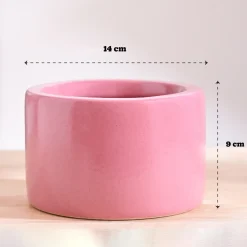 Lilac Stories Bowl Ceramic Planter