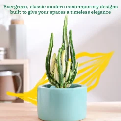 Lilac Stories Bowl Ceramic Planter
