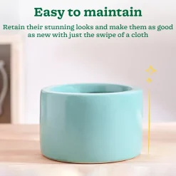 Lilac Stories Bowl Ceramic Planter