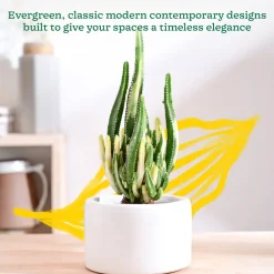 Lilac Stories Bowl Ceramic Planter