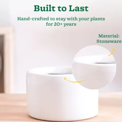 Lilac Stories Bowl Ceramic Planter