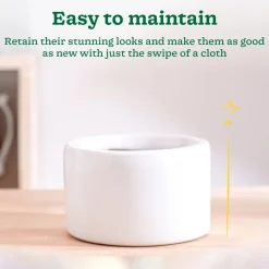 Lilac Stories Bowl Ceramic Planter