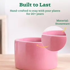 Lilac Stories Bowl Ceramic Planter