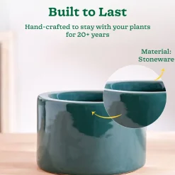 Lilac Stories Bowl Ceramic Planter