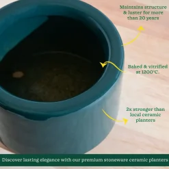 Lilac Stories Bowl Ceramic Planter
