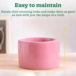 Lilac Stories Bowl Ceramic Planter