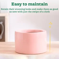 Lilac Stories Bowl Ceramic Planter