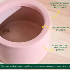 Lilac Stories Bowl Ceramic Planter
