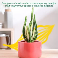 Lilac Stories Bowl Ceramic Planter
