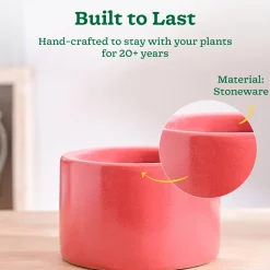 Lilac Stories Bowl Ceramic Planter