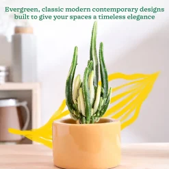 Lilac Stories Bowl Ceramic Planter