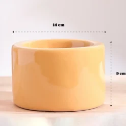 Lilac Stories Bowl Ceramic Planter