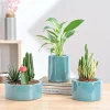 Lilac Stories Bundle - Aqua Green