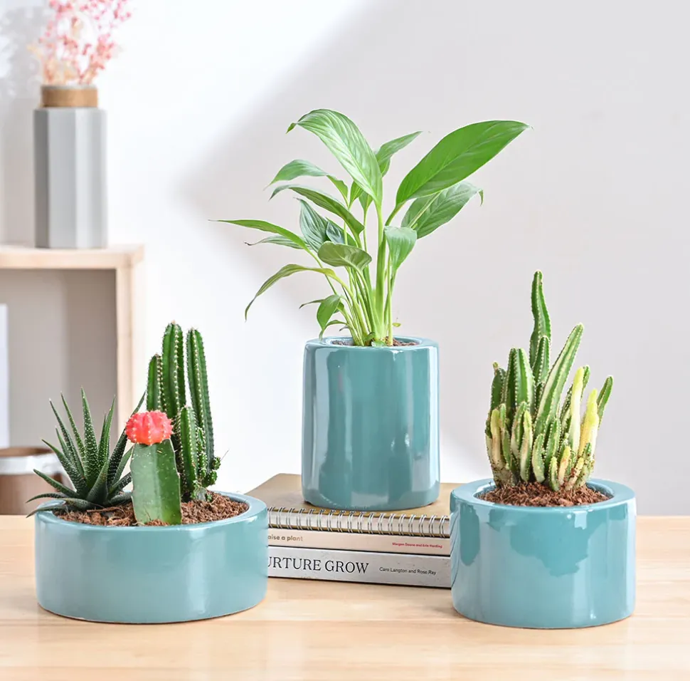 Lilac Stories Bundle - Aqua Green