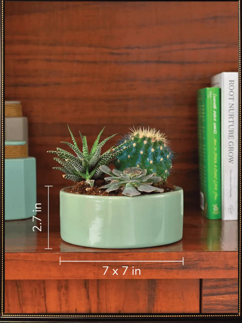 Lilac Stories Bundle - Aqua Green