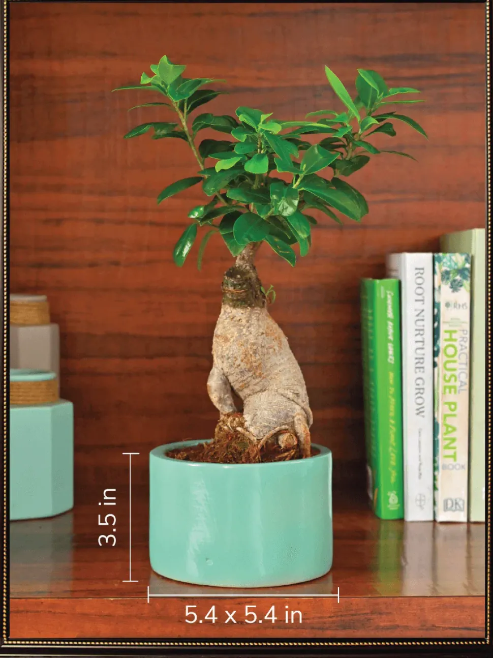 Lilac Stories Bundle - Aqua Green