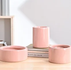 Lilac Stories Bundle - Light Pink