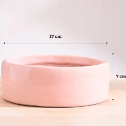Lilac Stories Bundle - Light Pink