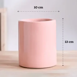 Lilac Stories Bundle - Light Pink
