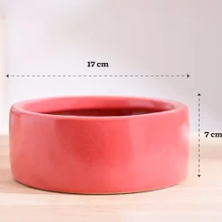Lilac Stories Bundle - Light Red