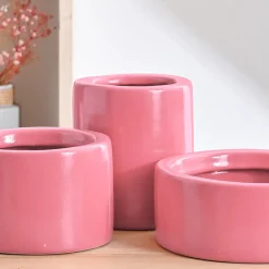 Lilac Stories Bundle - Magenta