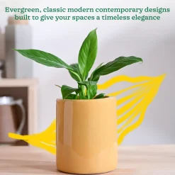 Lilac Stories Extra small Ceramic Planter