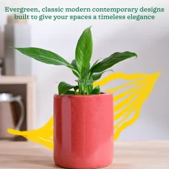 Lilac Stories Extra small Ceramic Planter