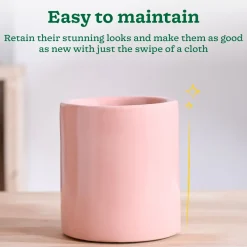 Lilac Stories Extra small Ceramic Planter
