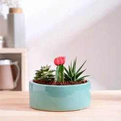 Lilac Stories Flat Ceramic Planter