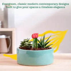 Lilac Stories Flat Ceramic Planter
