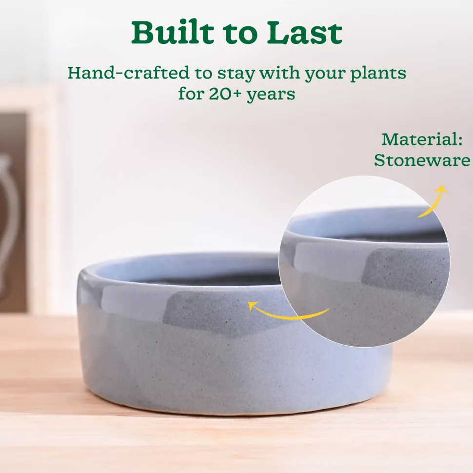 Lilac Stories Flat Ceramic Planter