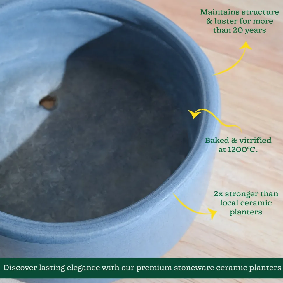 Lilac Stories Flat Ceramic Planter