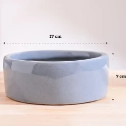Lilac Stories Flat Ceramic Planter