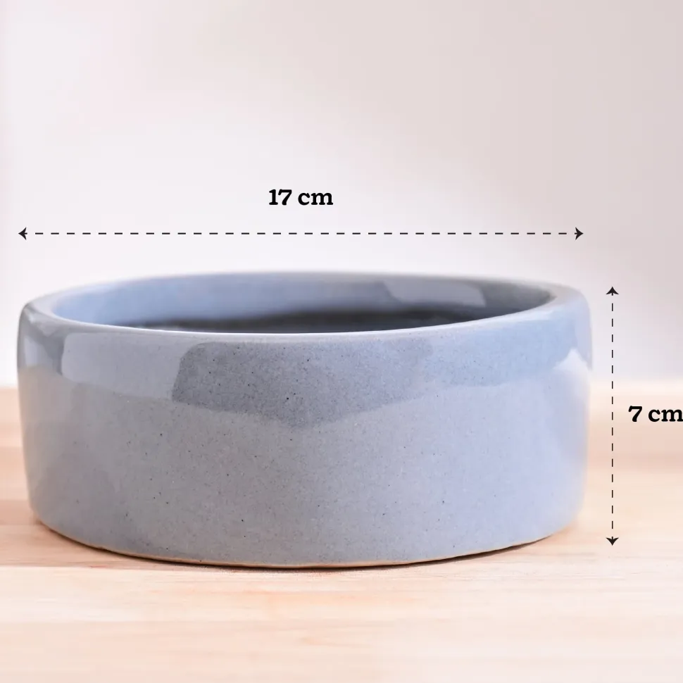 Lilac Stories Flat Ceramic Planter