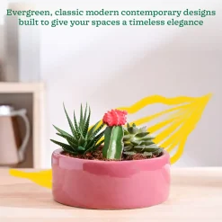 Lilac Stories Flat Ceramic Planter