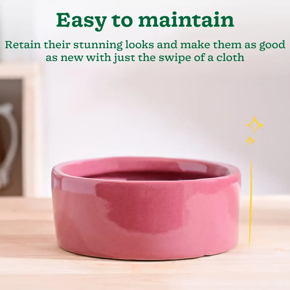 Lilac Stories Flat Ceramic Planter