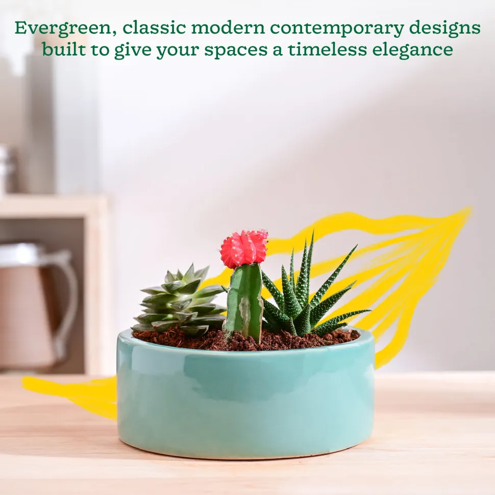 Lilac Stories Flat Ceramic Planter