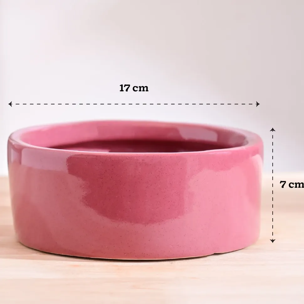 Lilac Stories Flat Ceramic Planter